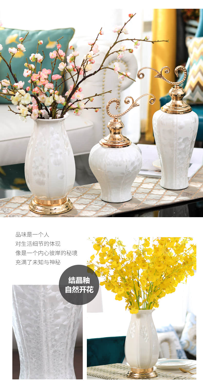 European ceramic vase furnishing articles dried flower arranging flowers sitting room suit I and contracted household light example room key-2 luxury decoration