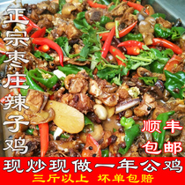 Shandong Zaozhuang spicy chicken authentic secret one year rooster three kg whole chicken vacuum packed specialty private dishes SF Mail