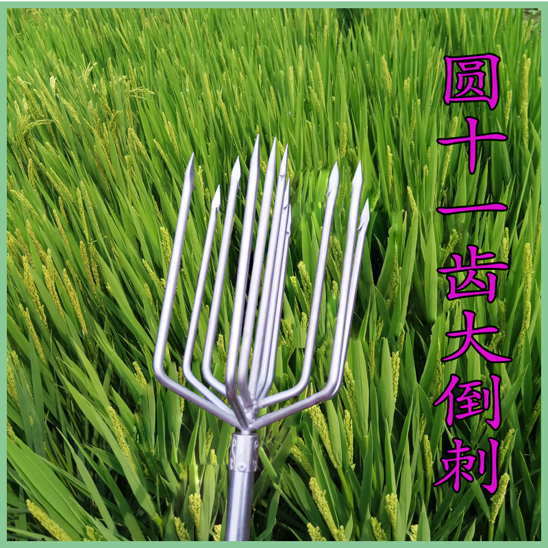 包邮鱼叉不锈钢鱼叉头带倒刺五齿加大号排叉十一齿灯笼叉渔具配件