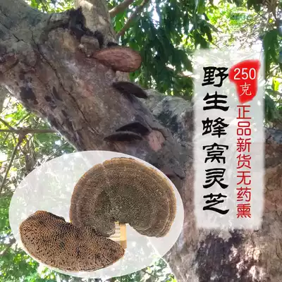 Village Girl Wild honeycomb Ganoderma Lucidum Trichomonas 250g Selected high-quality large pieces of a single more than 10cm