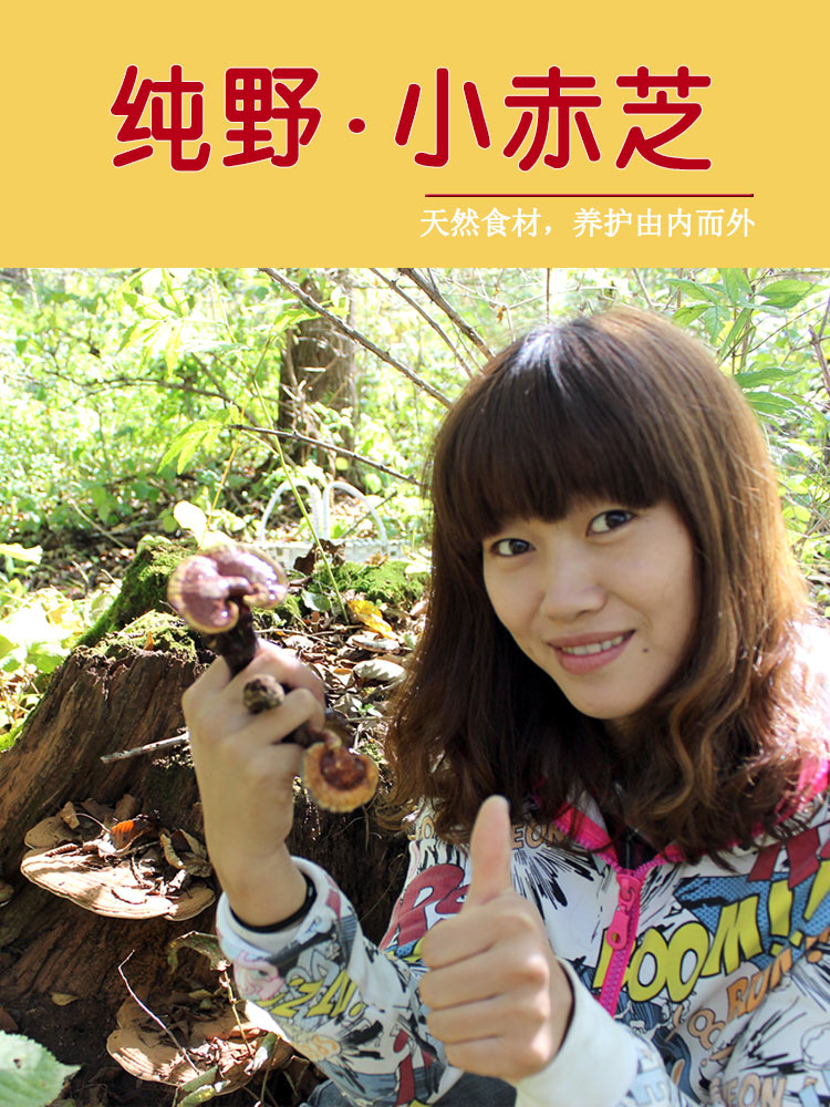 Village girl Wild small red Zhi Red Ganoderma lucidum Changbai Mountain pure wild Nyingchi below 5cm can be powdered 250 grams