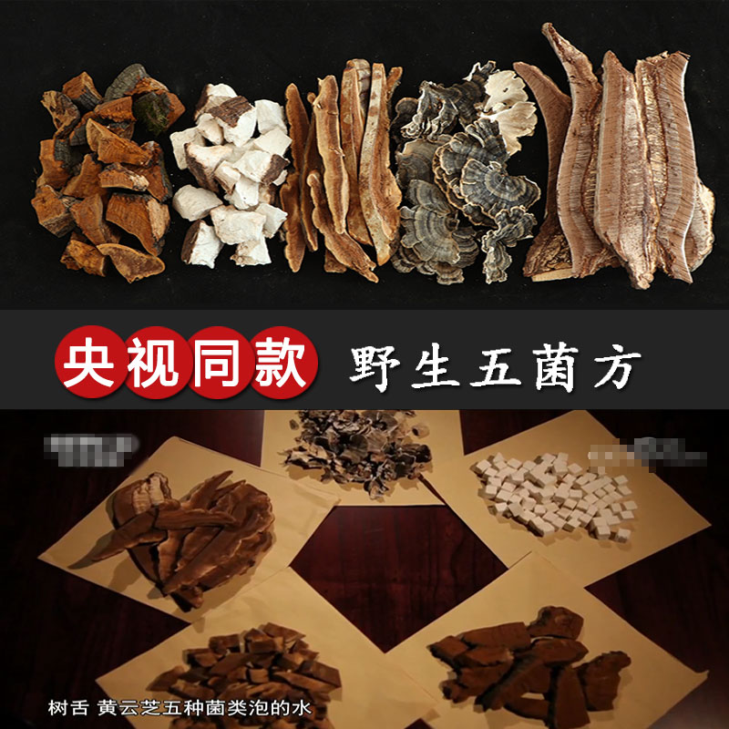 Wild Red Reishi Mulberry Yellow Tree Tongue Yellow Cloud Zhi Poria Five Mushroom Party Fungal Soup 15 bags a month