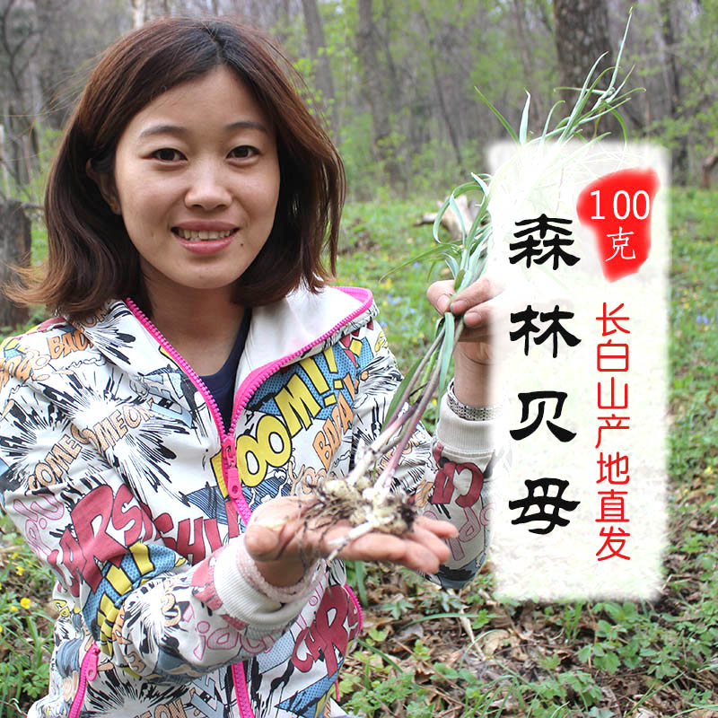 Village girl Northeast Sichuan shellfish mother flat shellfish Black land Song shellfish new goods Sichuan shellfish mother steamed pear can be powdered 100g