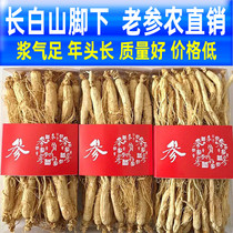 (Todays special price) 6 years of raw sun-dried ginseng 500g northeast ginseng Changbai Mountain wild ginseng White ginseng dry ginseng dry goods
