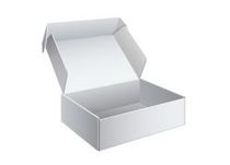 Piggy Pipe Packaging and Delivery Service Professional Packaging Box Professional Filling SF Standard Express