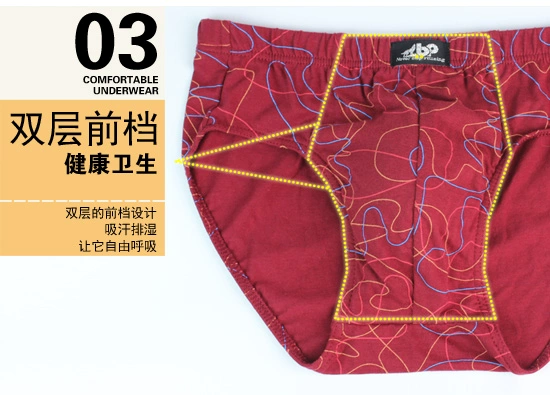 Quần short nam cotton in eo dòng cotton quần short nam đồ lót nam thanh niên