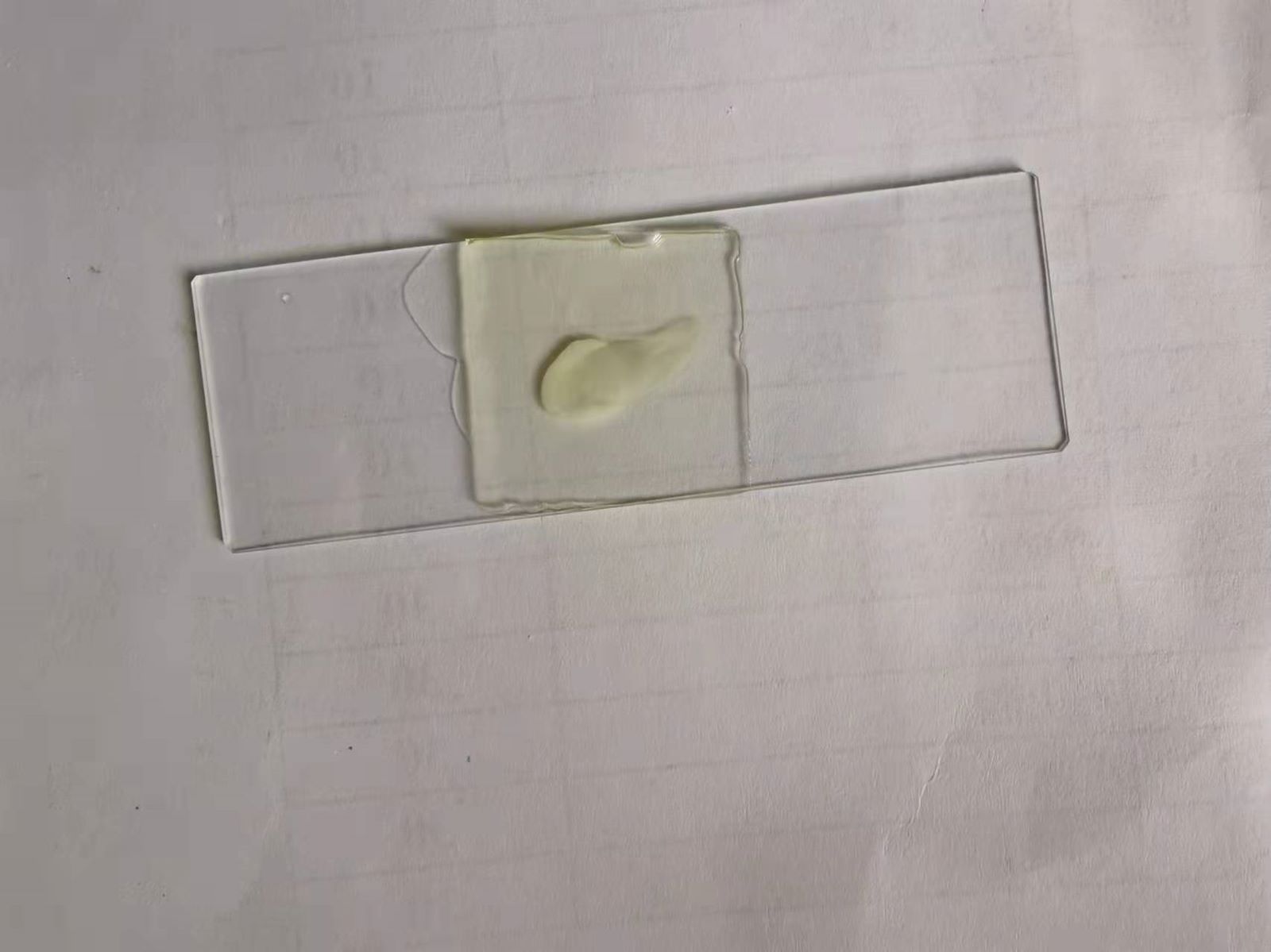 口腔病理切片显微镜下玻片医学院校教学用品高等院校教材配套产品