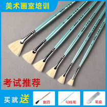 Matisse fan pig bristles water chalk watercolor paint brush bristles acrylic oil brush single set test