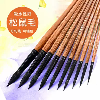 artsecret squirrel hair round head professional art painting brush watercolor gouache hook line animal chinchilla single