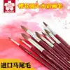 Cherry blossom watercolor pen nib head gouache paint wolf brush professional brush set for beginners art students special brush brush