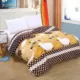 Với nhung phủ mùa đông flannel sang trọng 6 * 7 * 7 hai mặt nhung sữa nhung dày san hô 180x220 - Quilt Covers