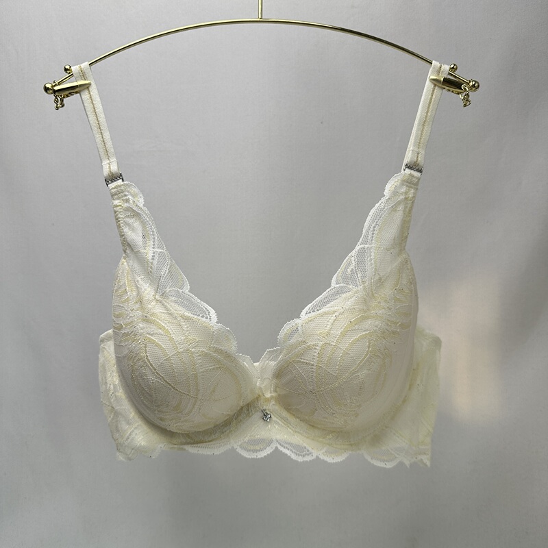 Dai* Exquisite Shimmer Deep V Water Bag Bra for Small Busts, Enhancing and Comfortable Lace Lingerie 16R9048 No Returns or Exchanges