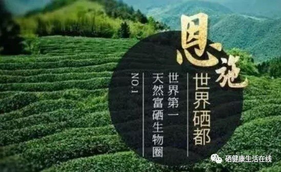 恩施富硒土特产超市的LOGO