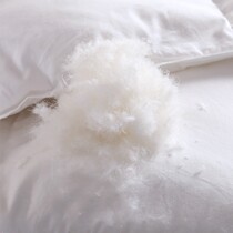 Net red winter soft skin-friendly big flower 95 white duck down duvet core light giant warm lining process fluffy not