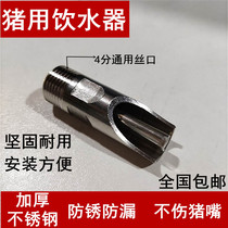 Positive stainless steel pig drinking water fountain pig drinking water mouth pig drinking water biting mouth breeding pig farm automatic feeding faucet equipment