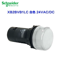 XB2BVB1LC White 24VAC/DC