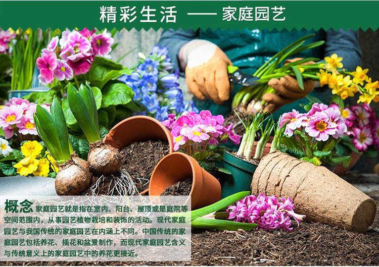 种花工具园艺铲子挖土工具多肉花铲种菜小铲子苗圃家庭花园种植用 双ii狂欢 铲子 工具 挖土 种菜 种花途虎网