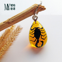Stainless steel pendant men and women keychain simple creative gift artificial amber scorpion transparent key pendant worm key buckle