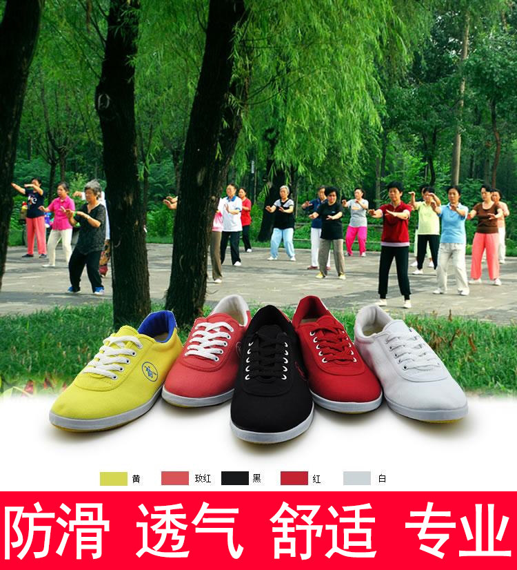 Twin Star Martial Shoes Men Taiji Shoes Canvas Buffalo Solar Shoes Training Shoes for Children Training Shoes