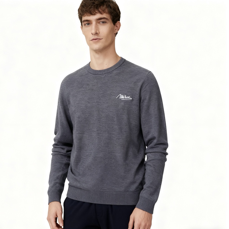 Haijia Fashion Men's Wool Sweater 2025 Autumn New Round Neck Pullover Loose Versatile Base Knitwear Sweater