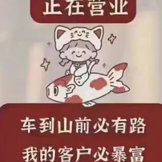 霞光电子科技