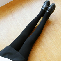 JA1000D autumn and winter plus velvet pantyhose gold cotton vertical grain stockings slim thin warm stepping socks