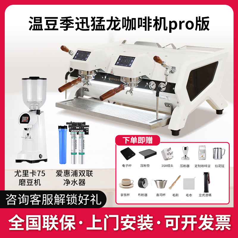 Wendougee Wen Dou Ji Velociraptor Pro Coffee Machine Italian Semi-Automatic Commercial Dual-Head Electric Control Sdragon