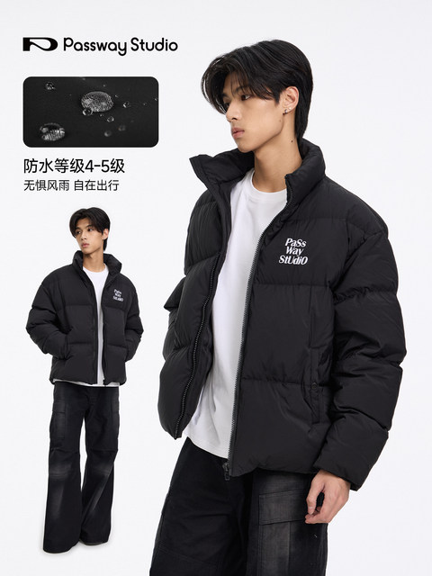 Passway Studio White Duck down Jacket with Stand Collar for Men and Women, Versatile Thickened Warm Puffer Jacket for Winter, Trendy