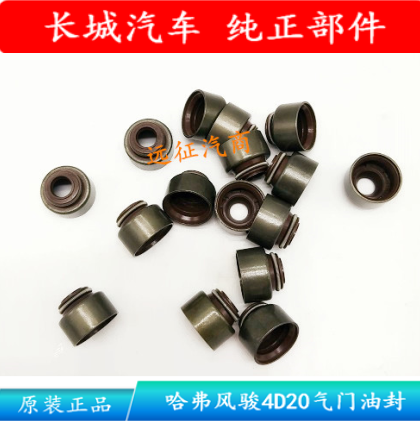 Great Wall Haver H5H6 Wind Jun 5 Wind Jun 6 Green Jing 4D20 Diesel Valve Oil Seal Original Factory