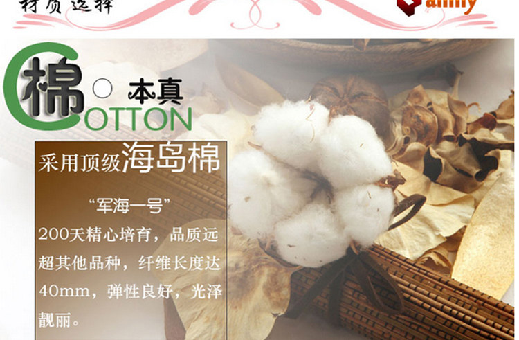 Chaussettes - collants simple - Ref 754737 Image 35