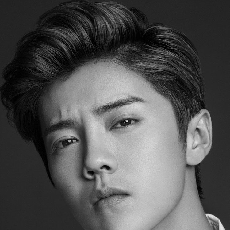 Perruque cheveux courts - Ref 2608533 Image 15