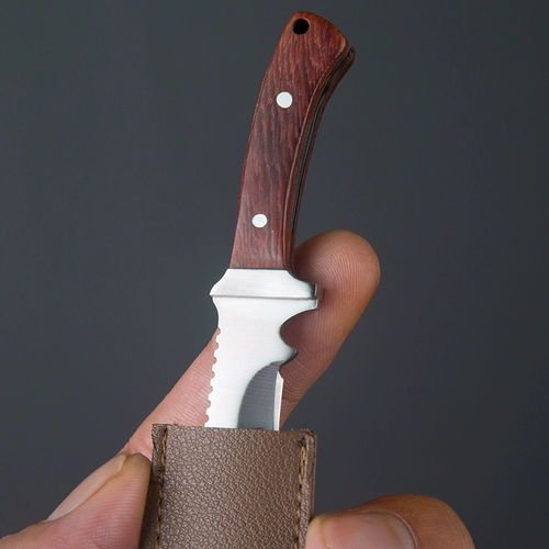 Мини -подарок маленький нож микро маленький маленький маленький меч любимый нож Ключевой меч и фруктовый нож Высокая твердость чай