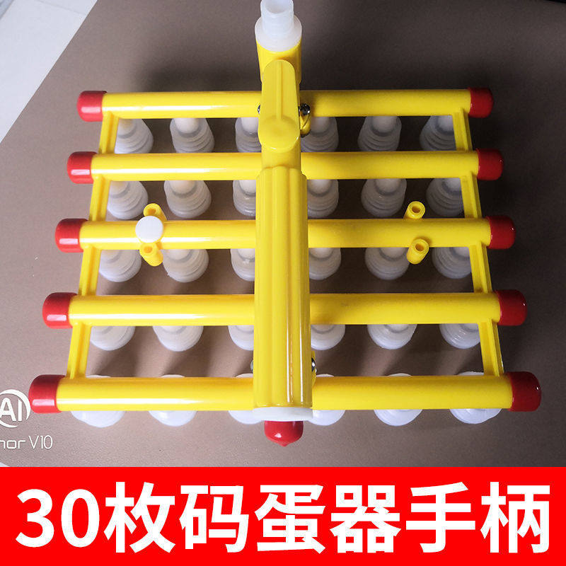 30 штук кодированных яиц с ручкой