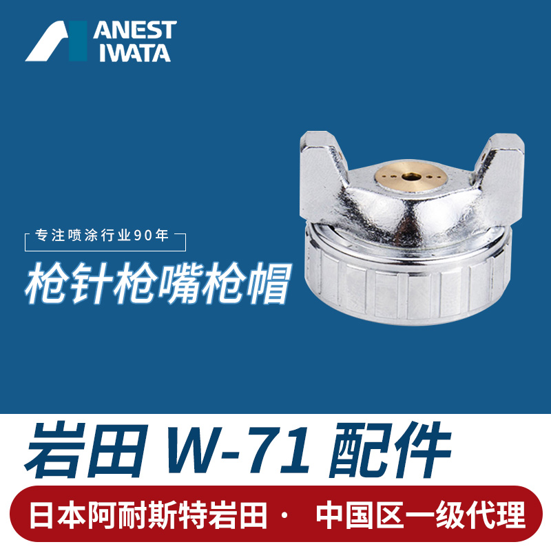 Iwata spray gun accessories W-71-77-101-200 WIDER1 WA-101 gun needle gun nozzle gun cap atomization cap