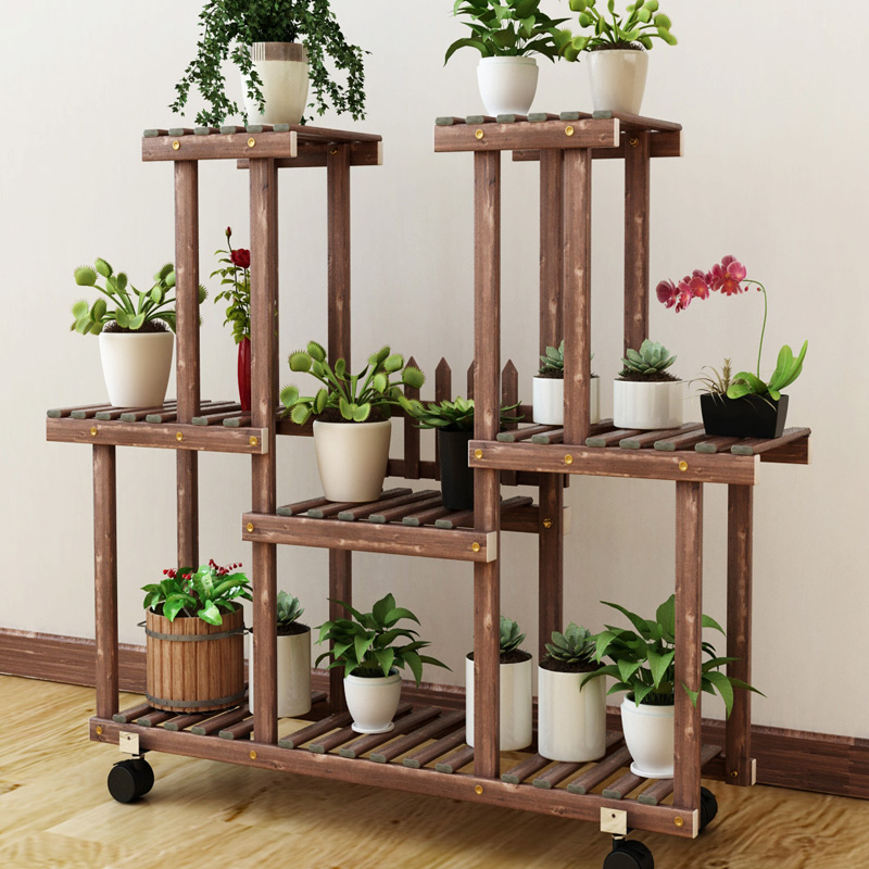 Orchid Plant Stand Indoor | Orchid Flowers