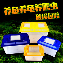 Handheld square plastic turtle tank fish tank hermit crab crab tadpole goldfish feeding box Brazil turtle snail