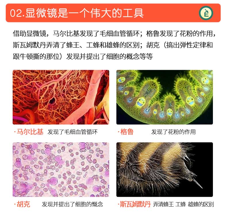 德国 宝视德 bresser 儿童专业显微镜 可连手机 图11