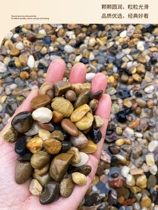 Natural cobblestones rain flower stones colorful stone flower pot paving fish tank bottom sand landscaping stones swamp filtering pebbles