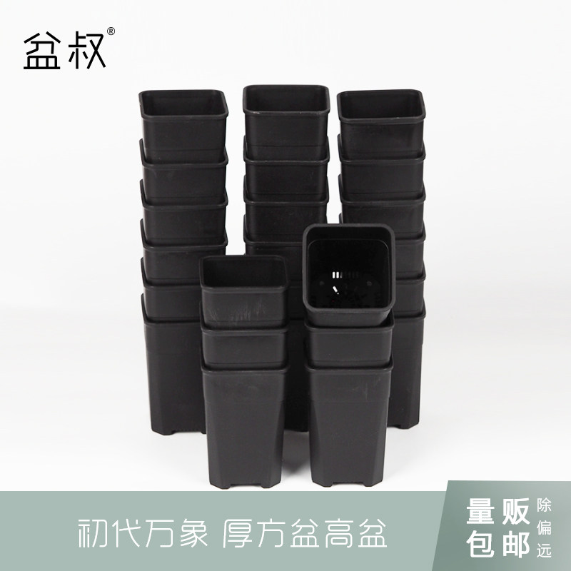 (Vendors) Pot Uncle Vientiane Basin Thick Square Basin High Basin Raw Stone Flowers twelve Vol. Ball Multi-Meat Basin New Material