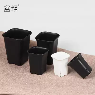 Square Vientiane basin succulent flower pot twelve rolls of cactus raw stone flower thick and durable with side holes breathable pot Uncle's shop
