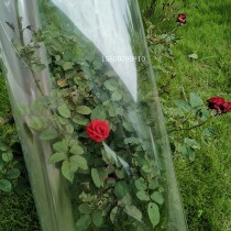 Ultrathin Crystal film Non-Shrinking Edge Cold Framed Film Super-Permeable Membrane High Permeable Membrane Bright Film Without Frame Painting Professional Use Film