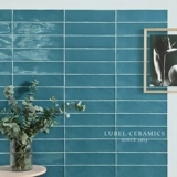 Liuben фрукты зеленая стена плитка плитка плитка длинная кирпичная кирпичная кирпичная ванная комната ванная комната ванная комната кухня кирпичная личность северная