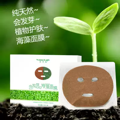 Ze Xiuyuan seaweed mask pure small particles natural moisturizing beauty salon free mask female Thai pregnant women mask