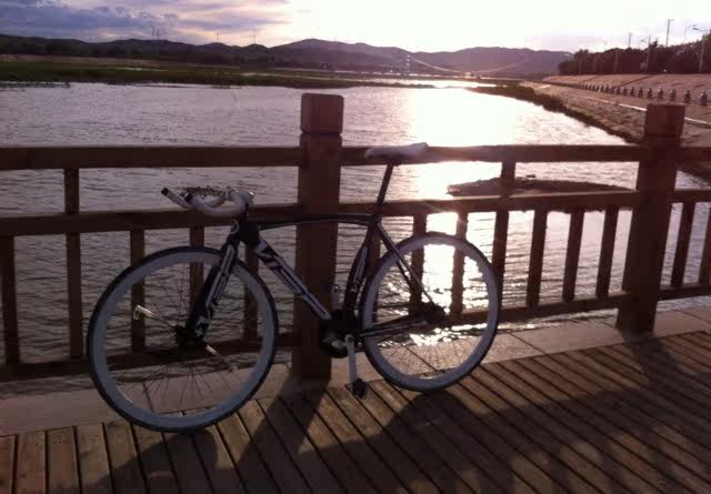 Décoration pour vélo - Ref 2292149 Image 18