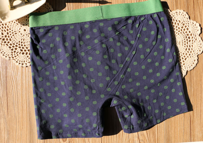 Bản gốc đơn giản in triều nam đồ lót cotton cao eo boyshort thanh niên thể thao thấm mồ hôi quần bốn điểm quan sip nam