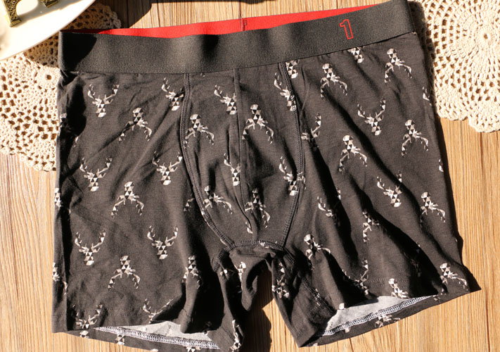 Bản gốc đơn giản in triều nam đồ lót cotton cao eo boyshort thanh niên thể thao thấm mồ hôi quần bốn điểm quan sip nam