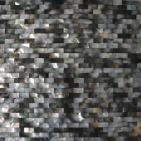 Павлин черный зеленый