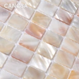 Spot Kanosa Shell Mosaic 2.5 натуральный цвет телевизионный фоновый фон стены унитаз украшения плитка плитка стены стены