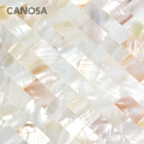 Spot Kanosa Shell Mosaic натуральная цветовая отделка TV Фоновая настенная плитка плитка головоломки