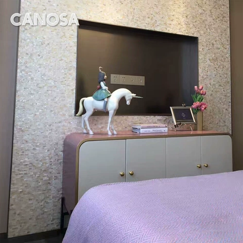 Spot Kanosa Shell Mosaic натуральная цветовая отделка TV Фоновая настенная плитка плитка головоломки